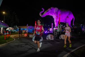 BIB: 
                            <button type="button" onclick="openModal(26552035)" class="btn btn-primary btn-sm float-right btn-popup" data-toggle="modal" data-target=".modal-high-quality">
                        <i class="fas fa-shopping-cart"></i> Add to Cart
                    </button>
                                            <button type="button" onclick="isThisMe(26552035, true)" class="btn btn-success btn-sm float-right btn-popup btn-isme hidden" data-toggle="tooltip" data-placement="bottom" title="นี่คือรูปของคุณใช่ไหม คลิกที่นี่เพื่อเอาเข้าอัลบั้ม">
                        <i class="fas fa-plus"></i> Add to album
                    </button>
                    <button type="button" onclick="isThisMe(26552035, false)" class="btn btn-warning btn-sm float-right btn-popup btn-isnotme hidden">
                        <i class="fas fa-ban"></i> Remove from album
                    </button>